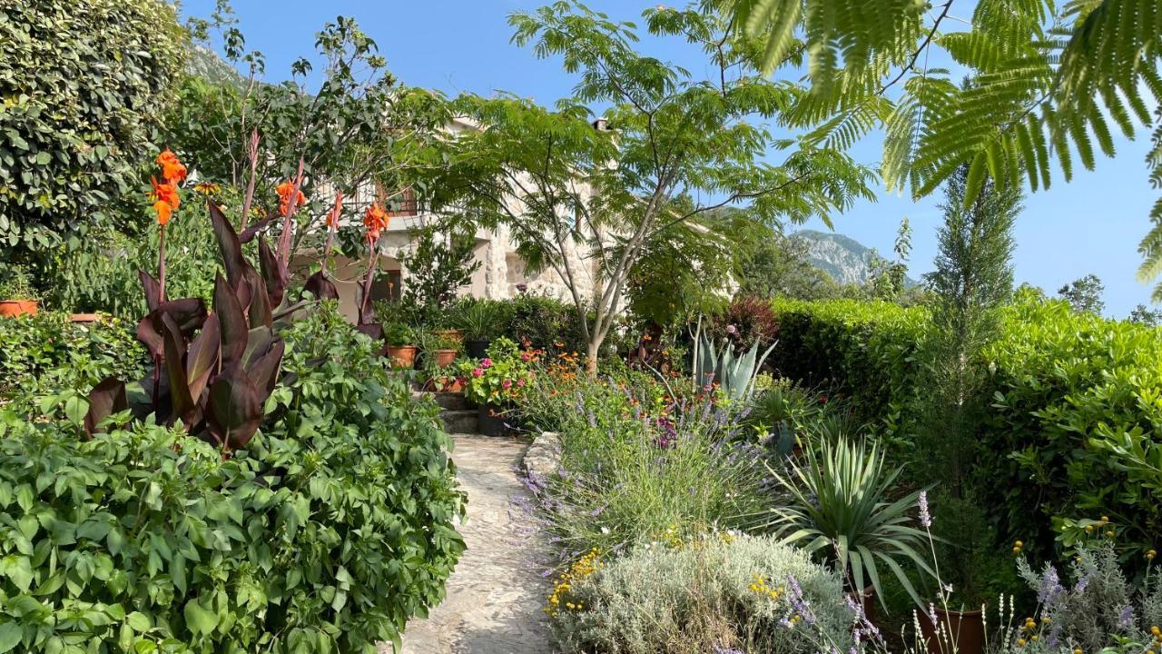Mountains Villa Near Budva Exterior foto